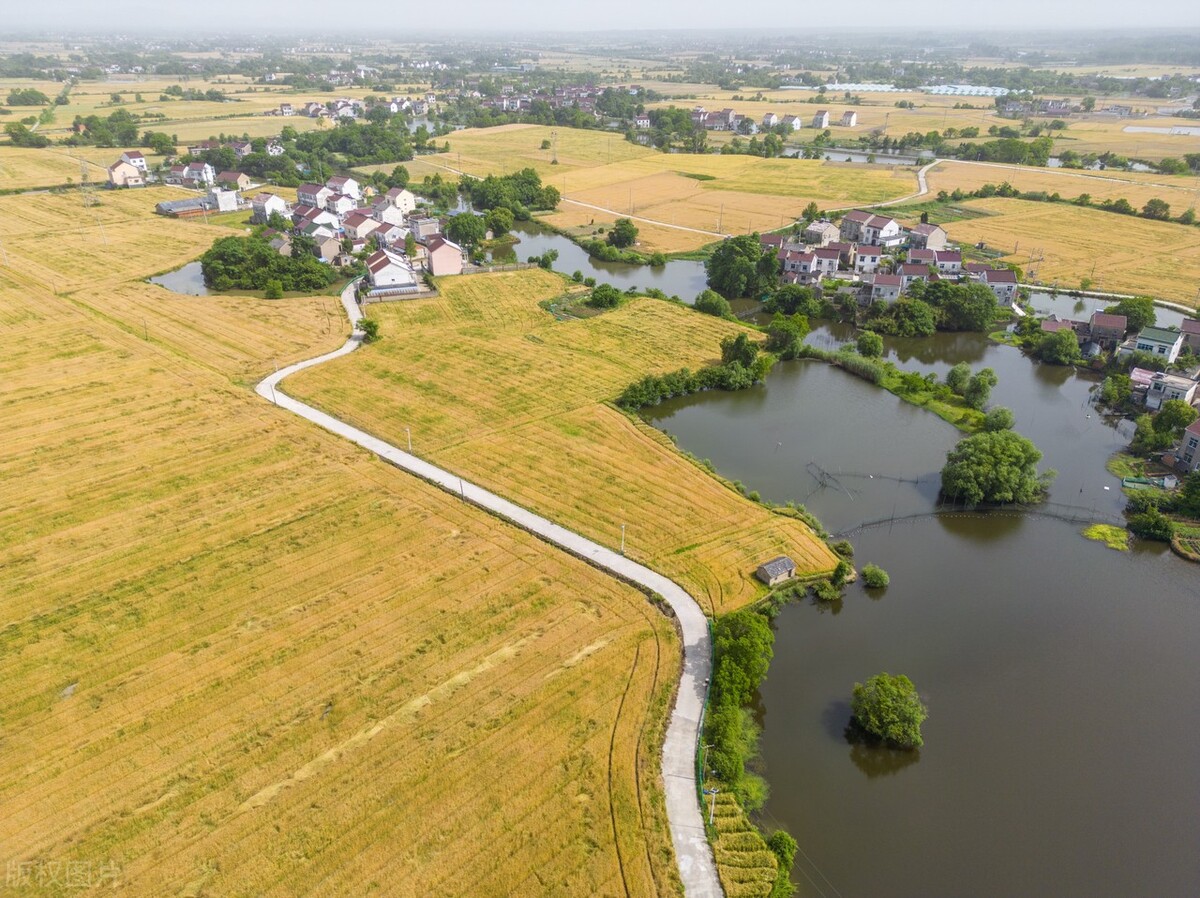 安徽宣城:航拍郎溪县建平镇夏日田园,麦熟时节美丽乡村如画卷