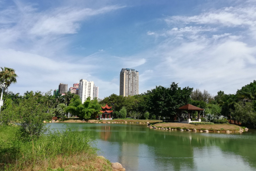 回顾:四川老人救溺水男孩,遭其家属索要93万,直言谁让你救了?