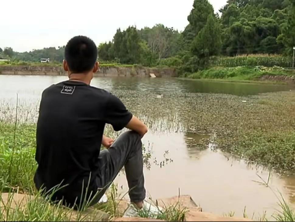 2022年河北男子梦中总出现梨树,不料现实找到相同地点,后来怎样