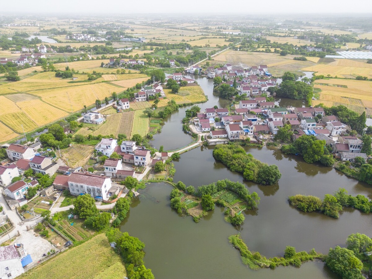 安徽宣城:航拍郎溪县建平镇夏日田园,麦熟时节美丽乡村如画卷