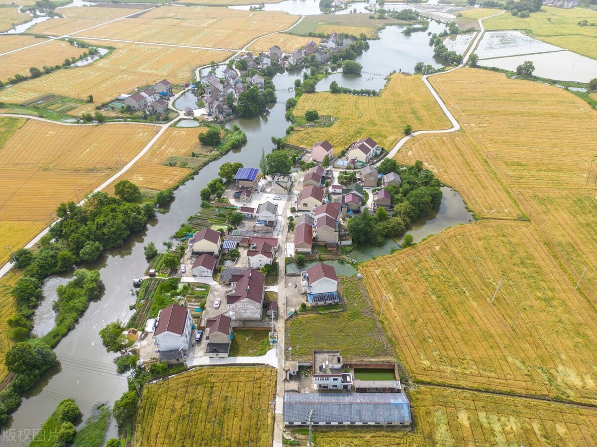 安徽宣城:航拍郎溪县建平镇夏日田园,麦熟时节美丽乡村如画卷