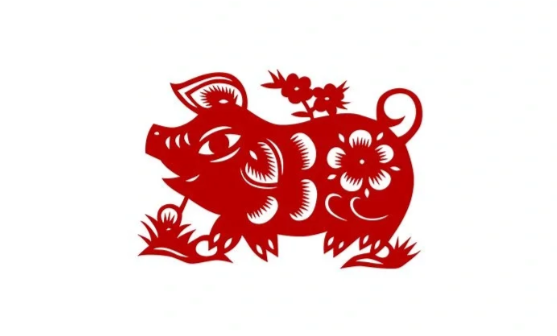 生肖猪的美眉,谦逊善良,获人疼爱
