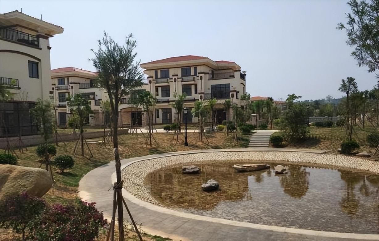 回顾:广东男子考上北大全村凑学费,多年后家家户户住别墅