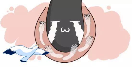 床上螨虫"成堆"?教你用个土方法,家中放1个它,螨虫"跑光了"