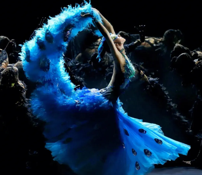 与杨丽萍离婚20年后,前夫刘淳晴毅然回到身边,无儿无女也甘愿?