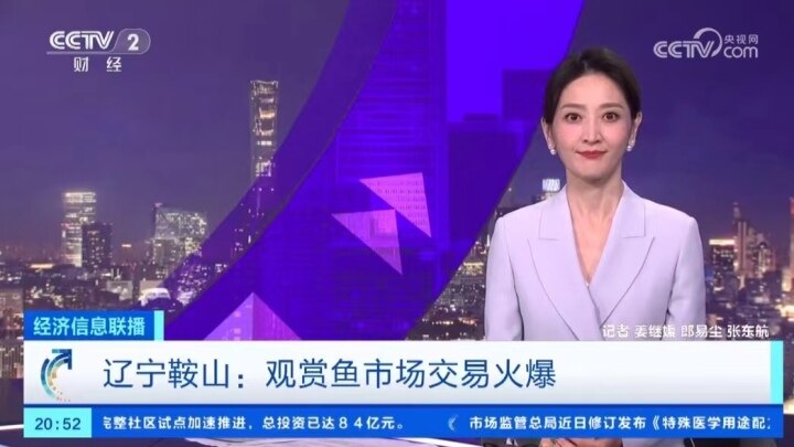 财经新闻哪个频道最正规(财经新闻哪个频道最正规的)