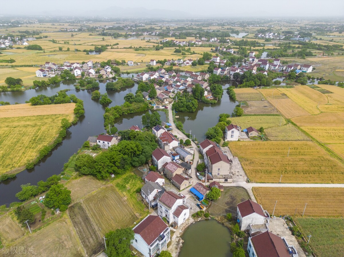 安徽宣城:航拍郎溪县建平镇夏日田园,麦熟时节美丽乡村如画卷