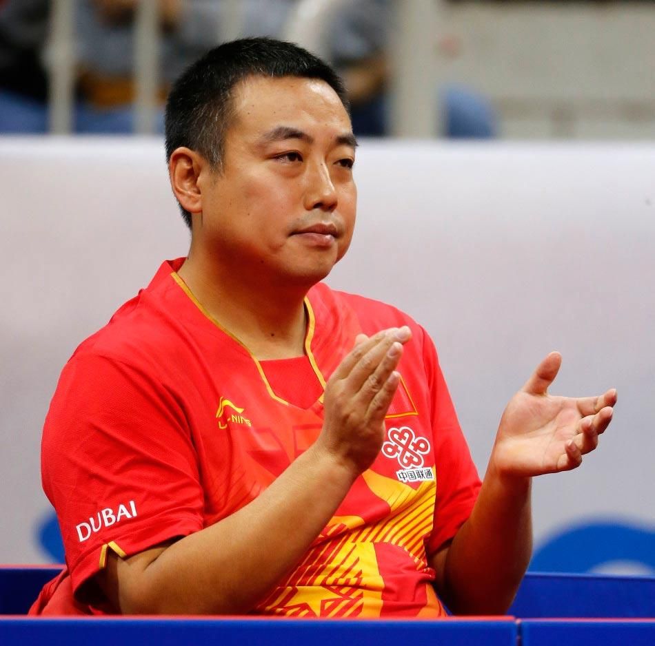 王楠,张怡宁, 王涛,王励勤,刘国梁刘国梁图片教练图片刘国梁照片