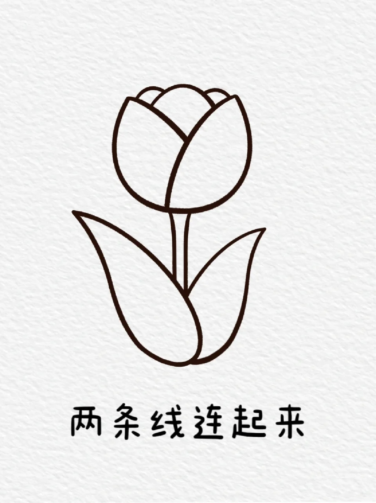 花朵简笔画 宝子们平常做手抄报都画什么元素呀但是大部分主题的手