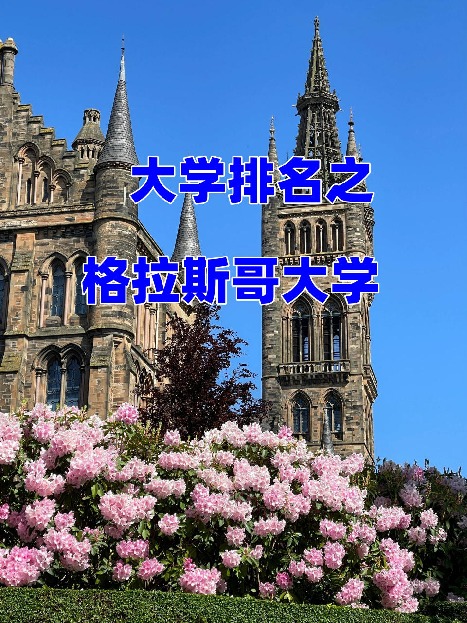 格拉斯哥大学qs图片