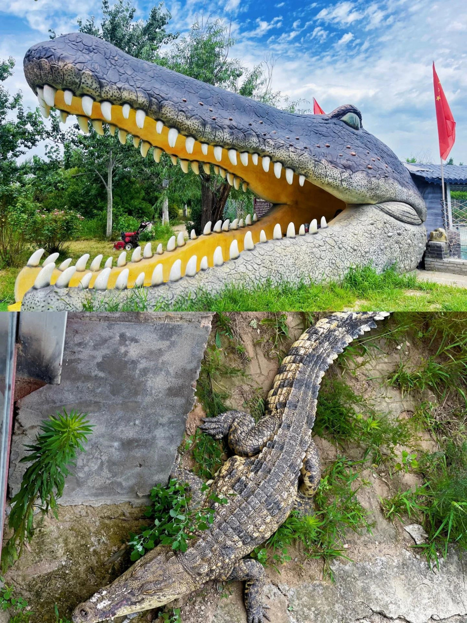 大荔旅游景点的魅力,超乎你的想象!
