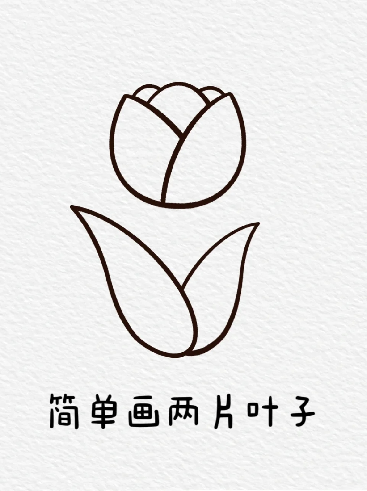 花朵简笔画 宝子们平常做手抄报都画什么元素呀但是大部分主题的手