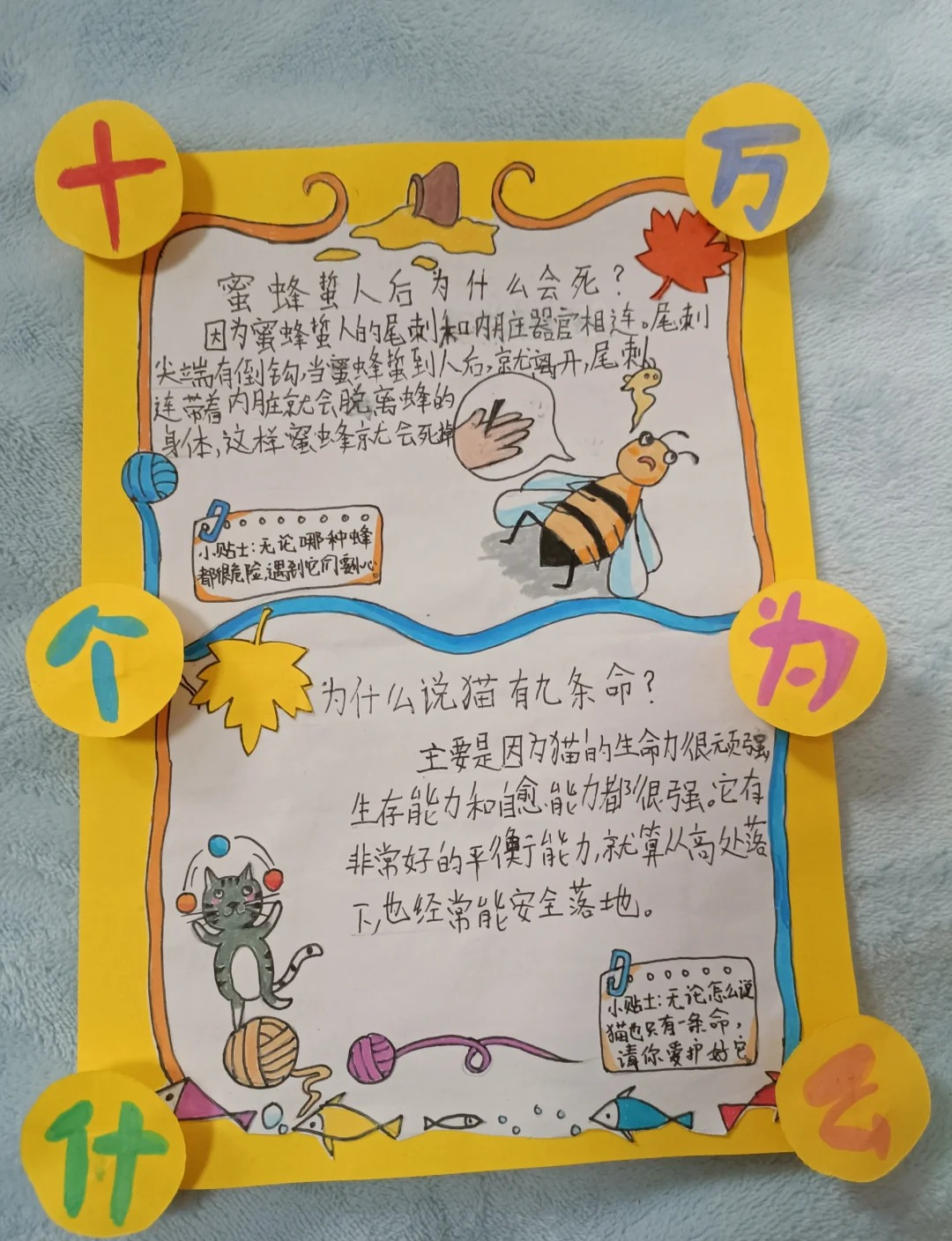 《十万个为什么》手抄报一等奖  我得跟你们分享个特开心的事儿!