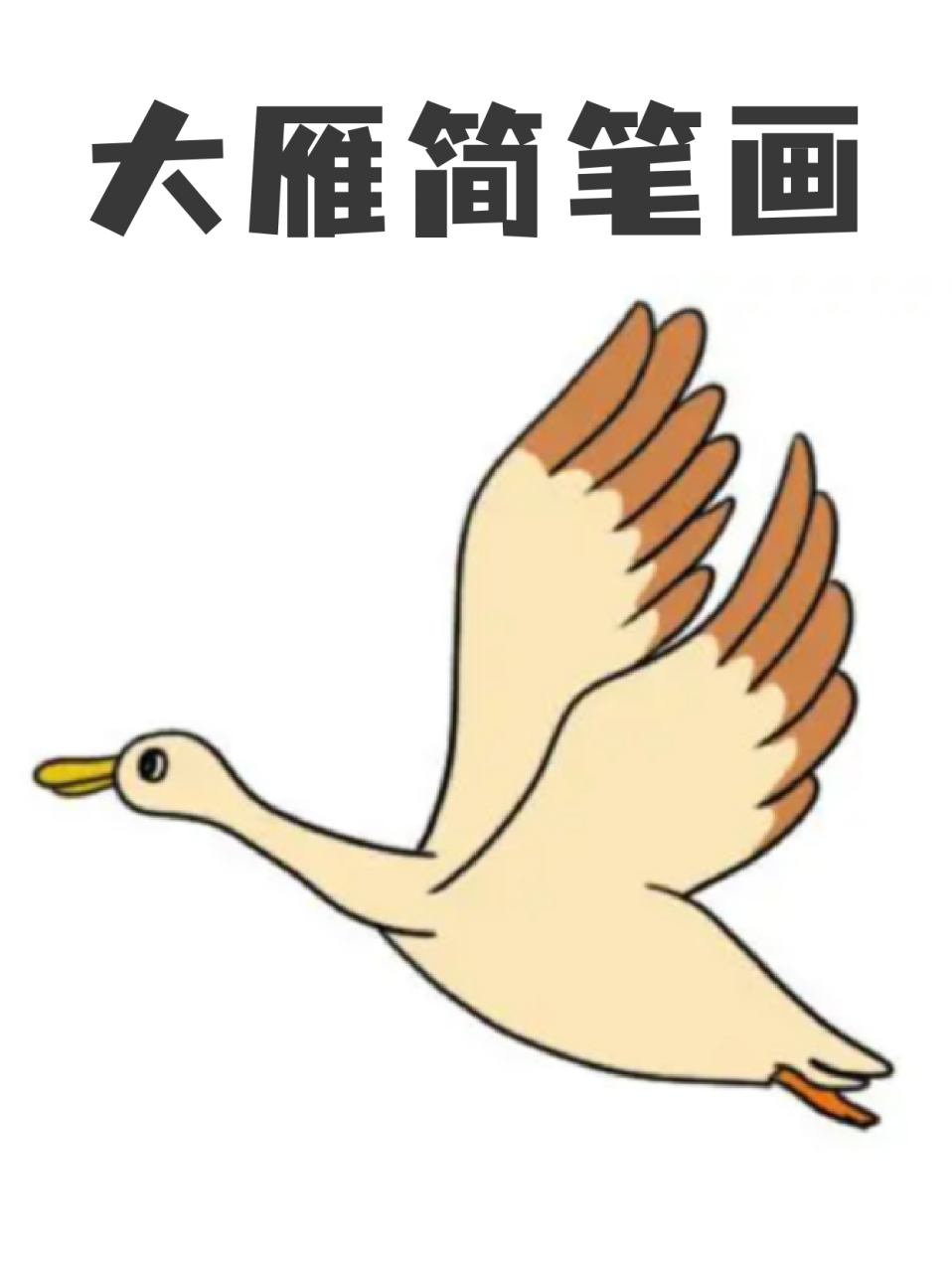 大雁简笔画 99雁飞南与北,相思秋与春,我一直认为大雁是很浪漫的一