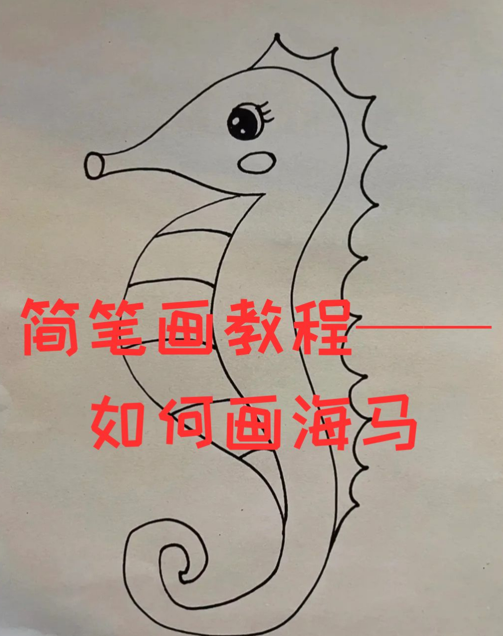 简笔画教程——如何画海马  前两天带我家小宝贝去了趟海洋馆,小家伙