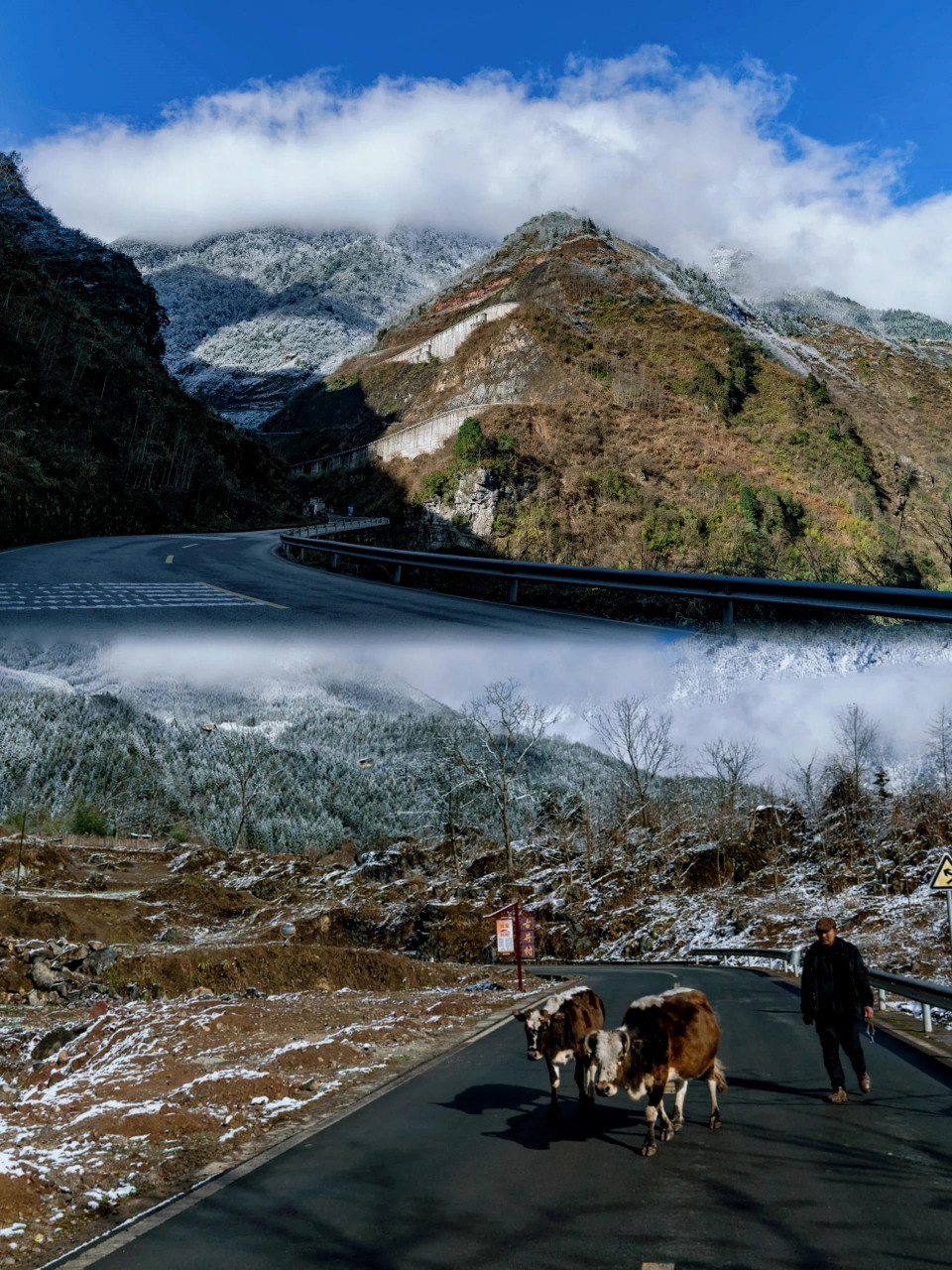 黑竹沟风景区的神秘超出想象!宝子们快来看!