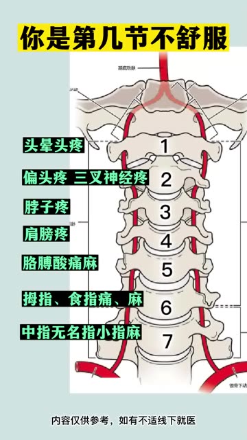 你是颈椎第几节不舒服?