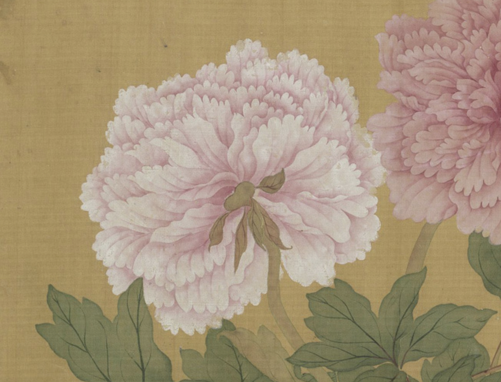 文/〔唐〕刘禹锡,图/恽寿平《牡丹册》局部 #诗文美图