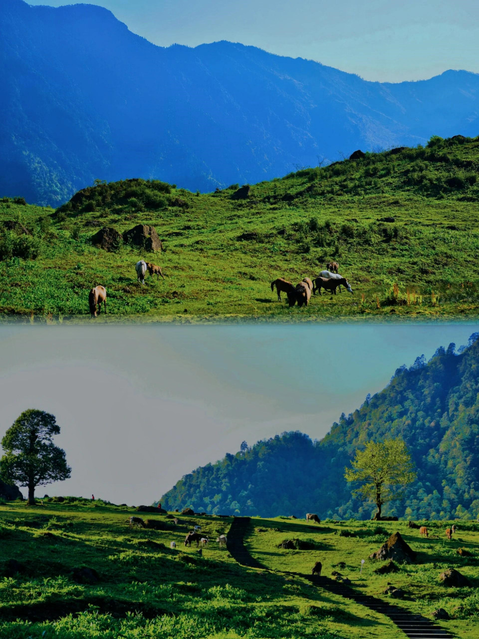 黑竹沟风景区的神秘超出想象!宝子们快来看!
