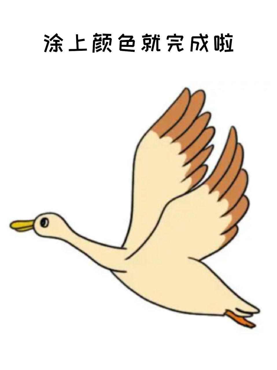 大雁简笔画 99雁飞南与北,相思秋与春,我一直认为大雁是很浪漫的一