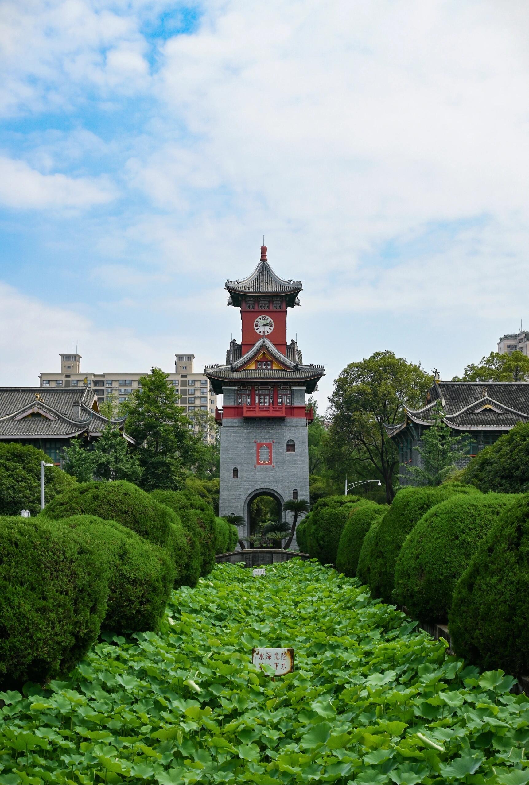 四川大学望江校区面积图片