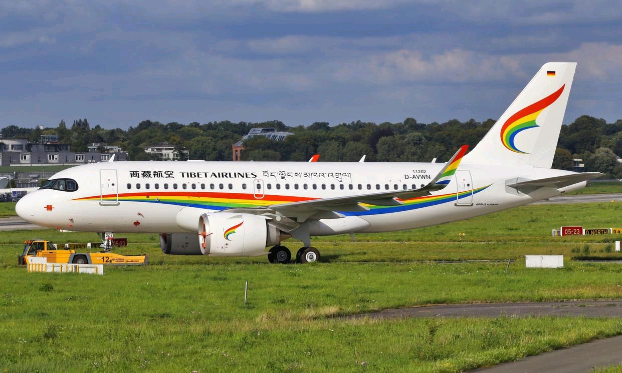 a319neo,空客飞机中最稀有的机型