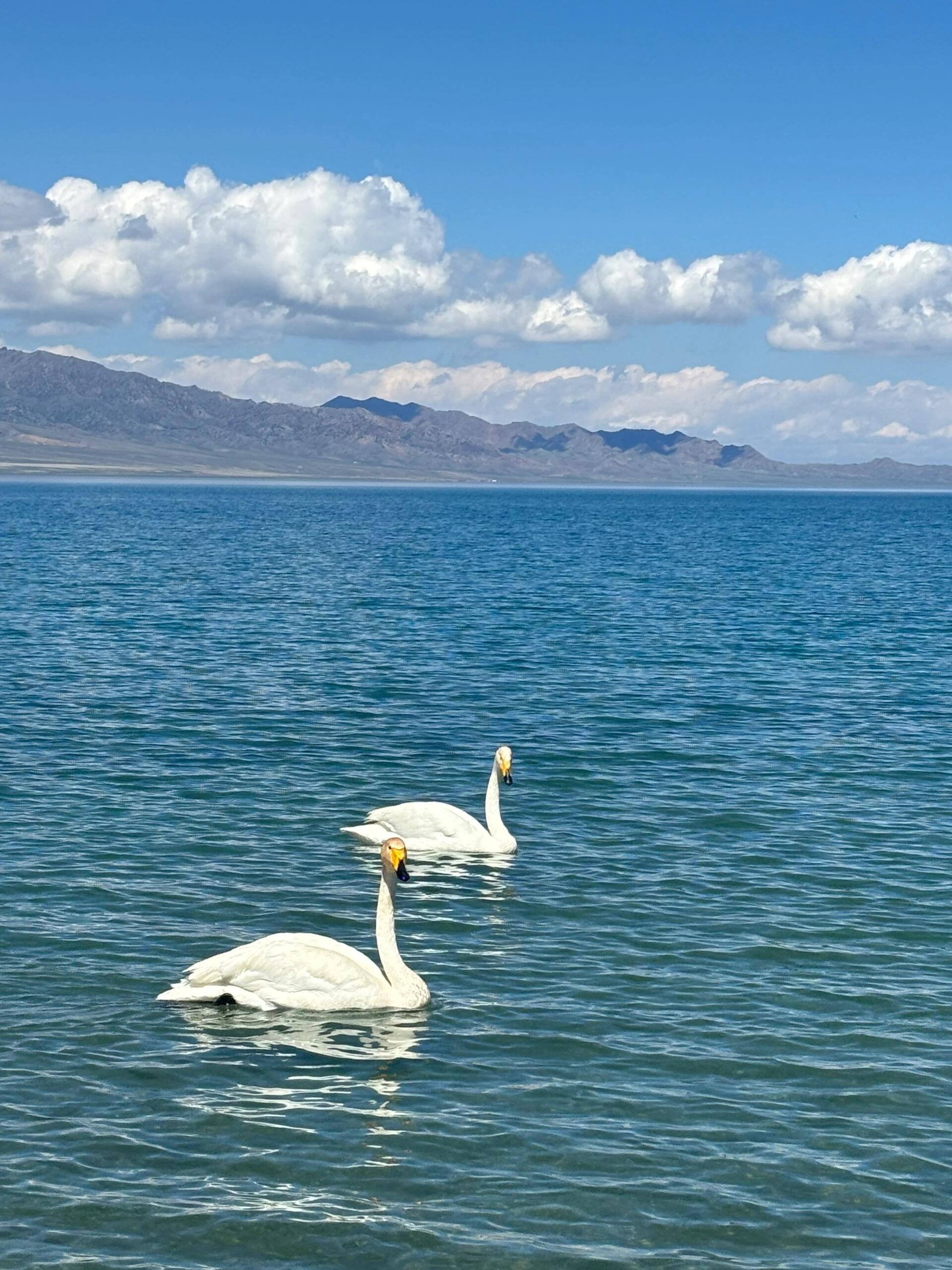赛里木湖手机水里拍照，旅游帮手