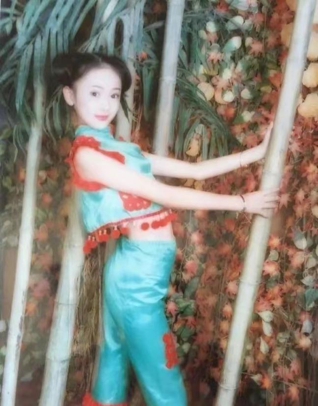 回顾被称为"小章子怡",与张国立父子恩怨颇深,今童瑶嫁人翻身