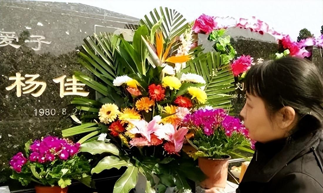 2008年杨佳案:因为一辆自行车,持刀怒闯警局杀害六名警员