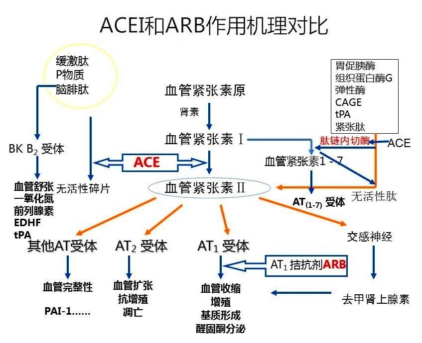 贝那普利和卡托普利图片