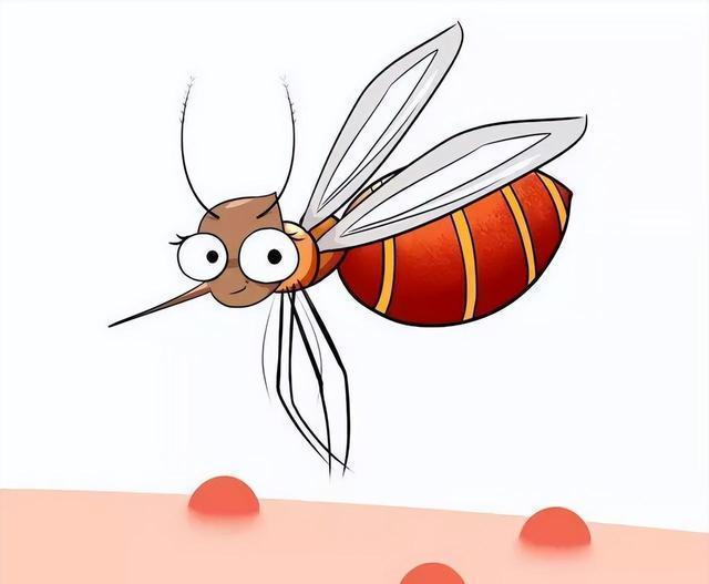 九成人不知道蚊子最大"克星"是啥?简单一招,整夜开窗也不怕