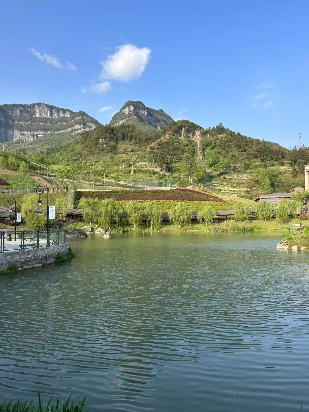 《柏芷山国际度假公园》渝南黔北最后的臻享原生净土闲看万亩竹林