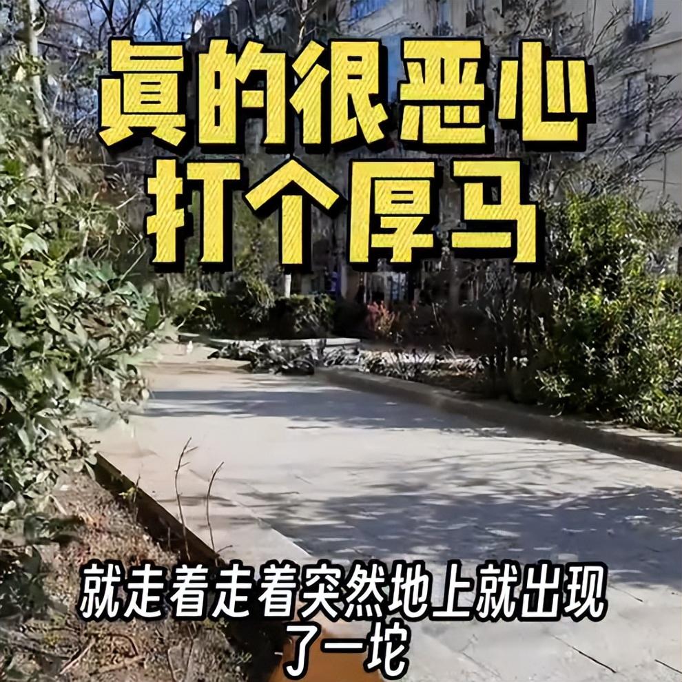 被逼疯了!在外国旅游被迫"憋尿",搞不懂中国人为何喜欢遭洋罪