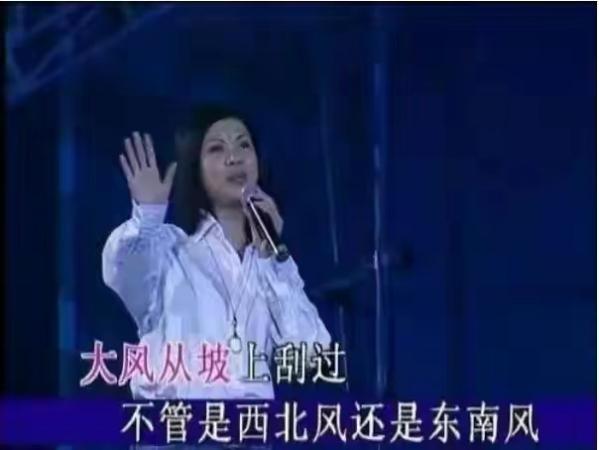 回顾杭天琪:前夫和前男友伤我至深,再嫁小丈夫,冒险生子也无悔