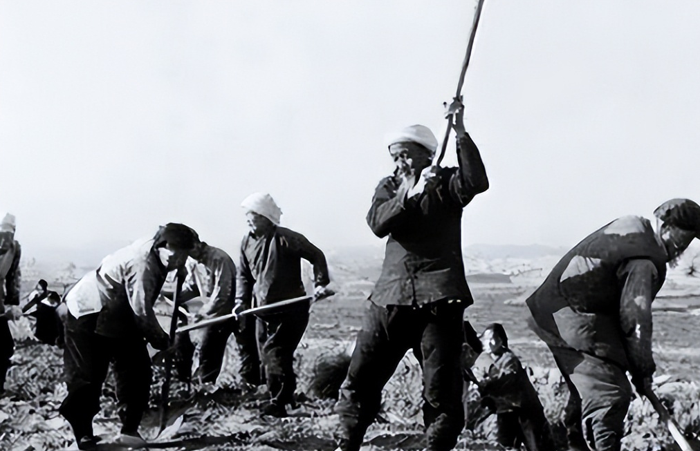 中国大陆最后一个土匪,隐姓埋名40年,82岁身份暴露后却服毒自尽