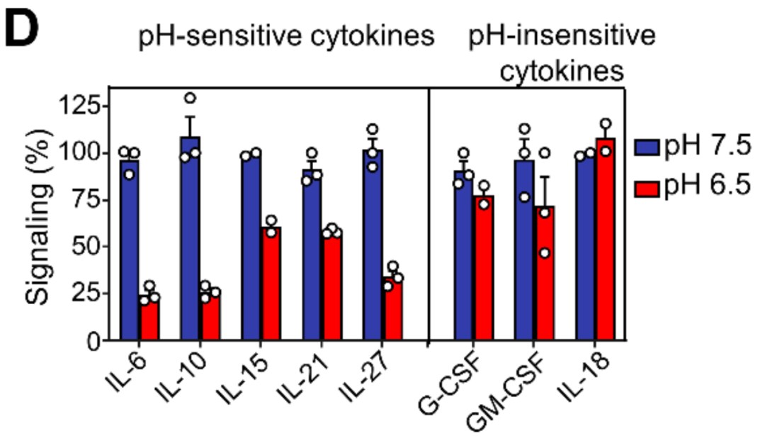 中毒研究 Amazon.co.jp: 日本農薬 ダウ・アグロサイエンス 殺虫殺菌剤