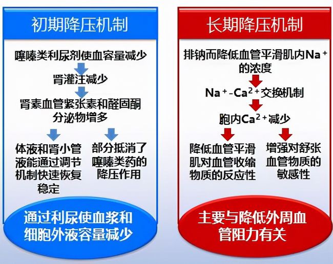 高血压治疗:不可或缺的中,西药常识
