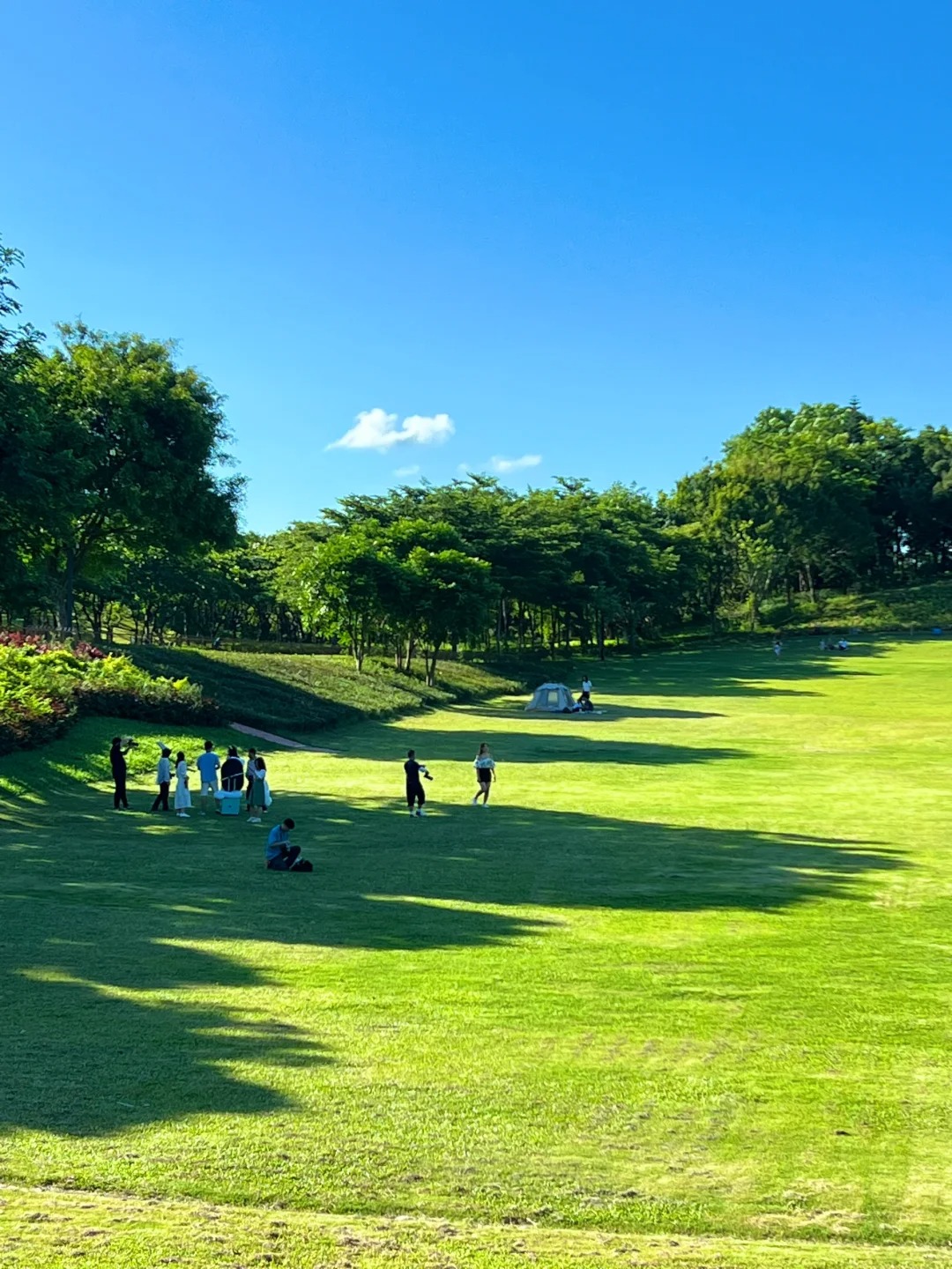 深圳海景公园预约图片