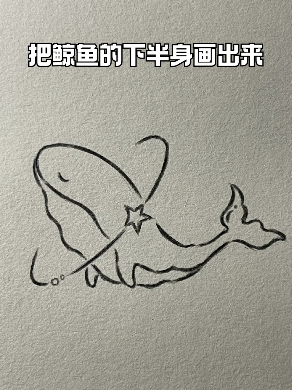 梅尔维尔鲸简笔画图片图片