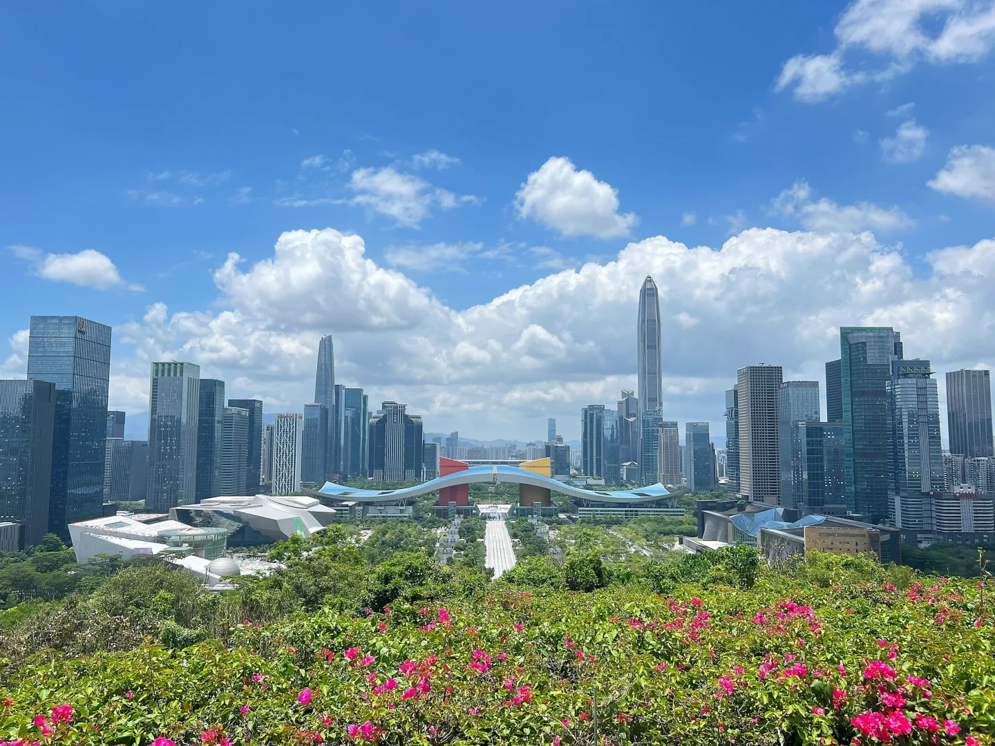 答应我,别错过这些神仙美景,堪称绝美  深圳,这座繁华都市里,隐藏着