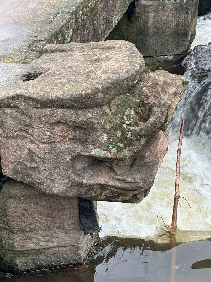 重庆九龙坡区的九龙桥,这座历史悠久的古桥,犹如一位沧桑的长者,静静