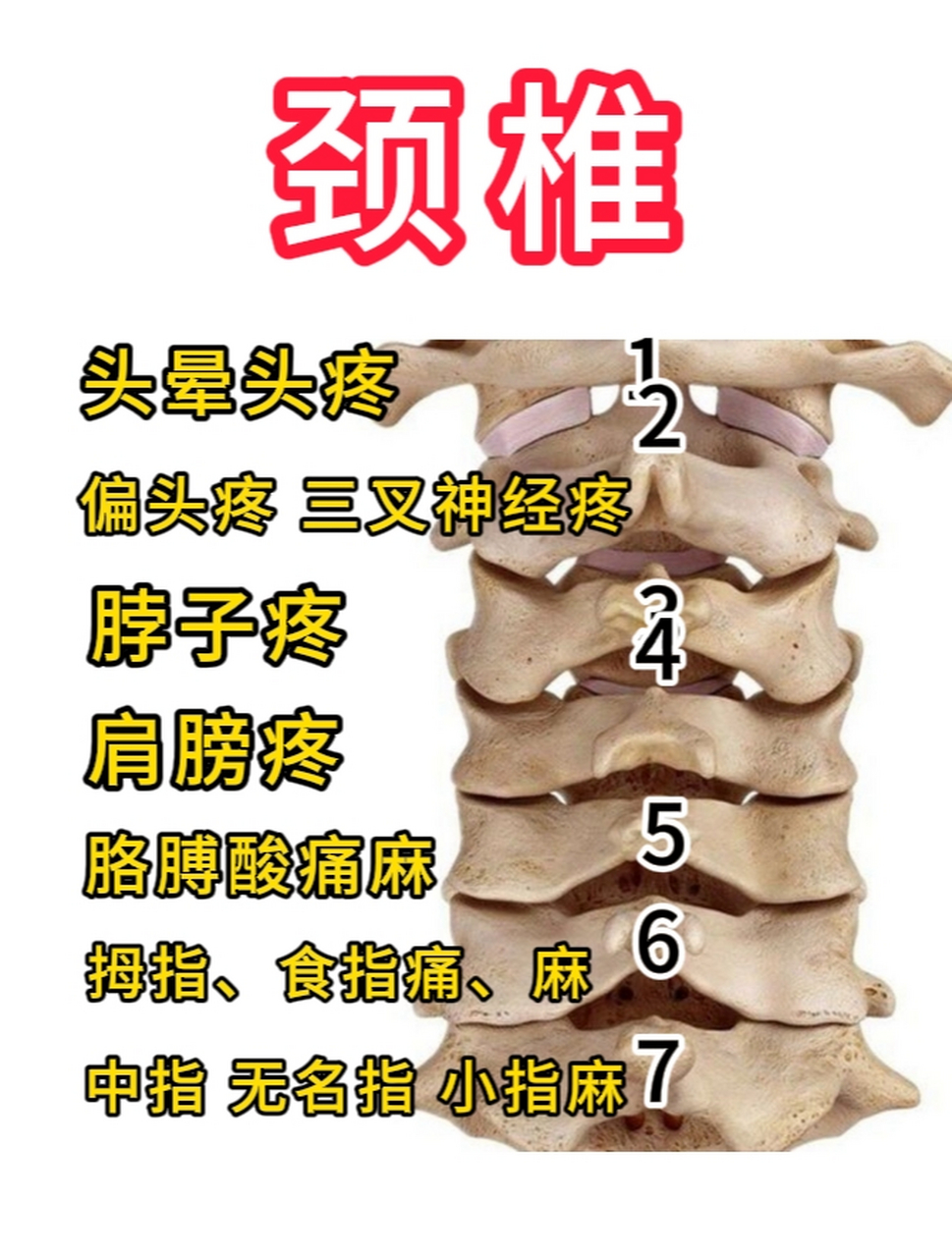 是颈椎第几节不舒服?