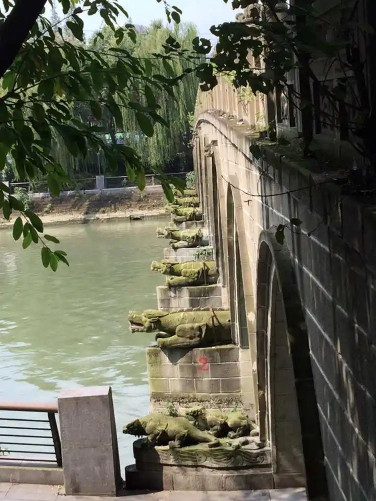 重庆九龙坡区的九龙桥,这座历史悠久的古桥,犹如一位沧桑的长者,静静