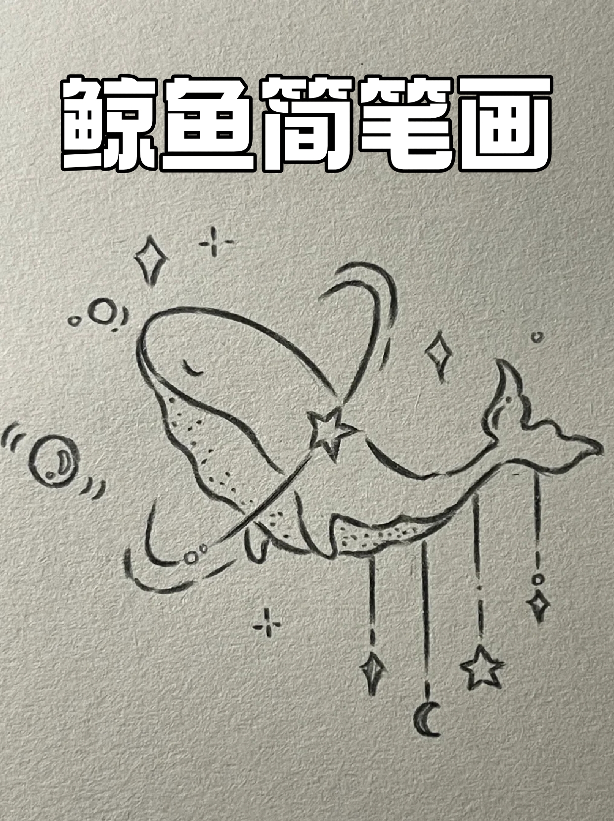 鲸鱼简笔画 鲸鱼给人的感觉一直是神秘和梦幻的,发出的声音是如此的