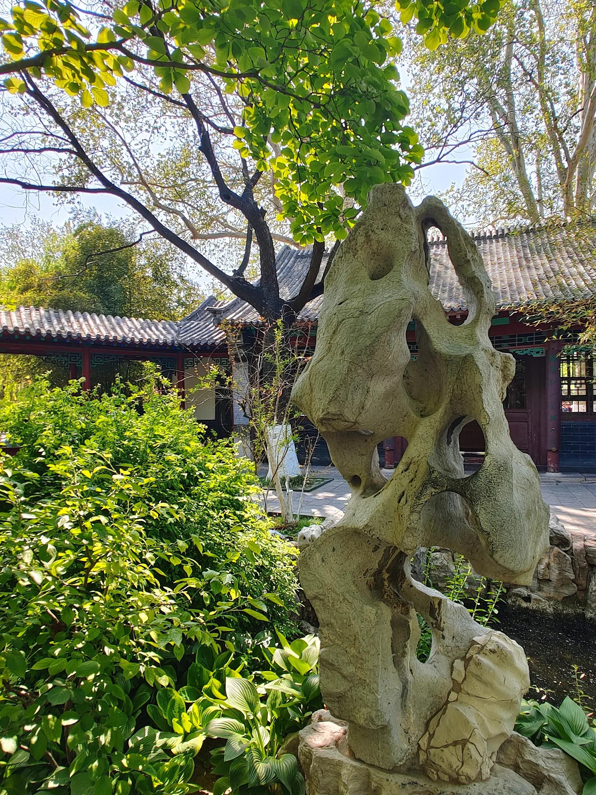 济南真的是一个让人惊艳的城市啊!