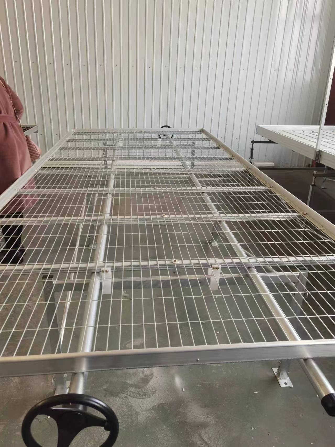 河北温室育苗床批发-移动苗床规格温室育苗床