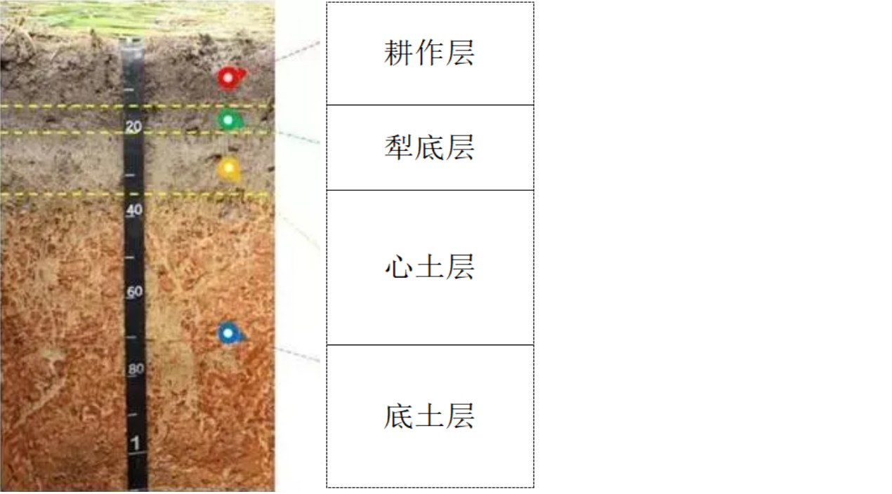 耕作土壤如何分层