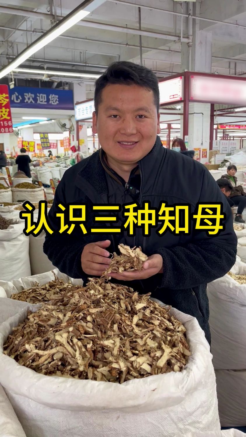 毛知母,光知母知母肉,一招区分它们