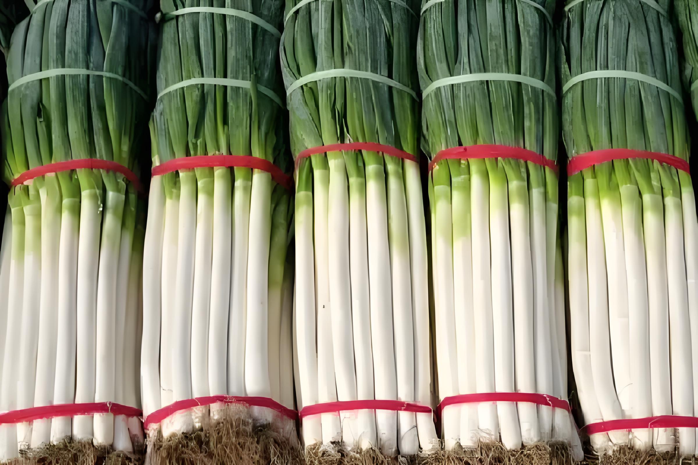 葱秧子春季怎么管理,什么时候栽葱秧子,怎么栽种长得好