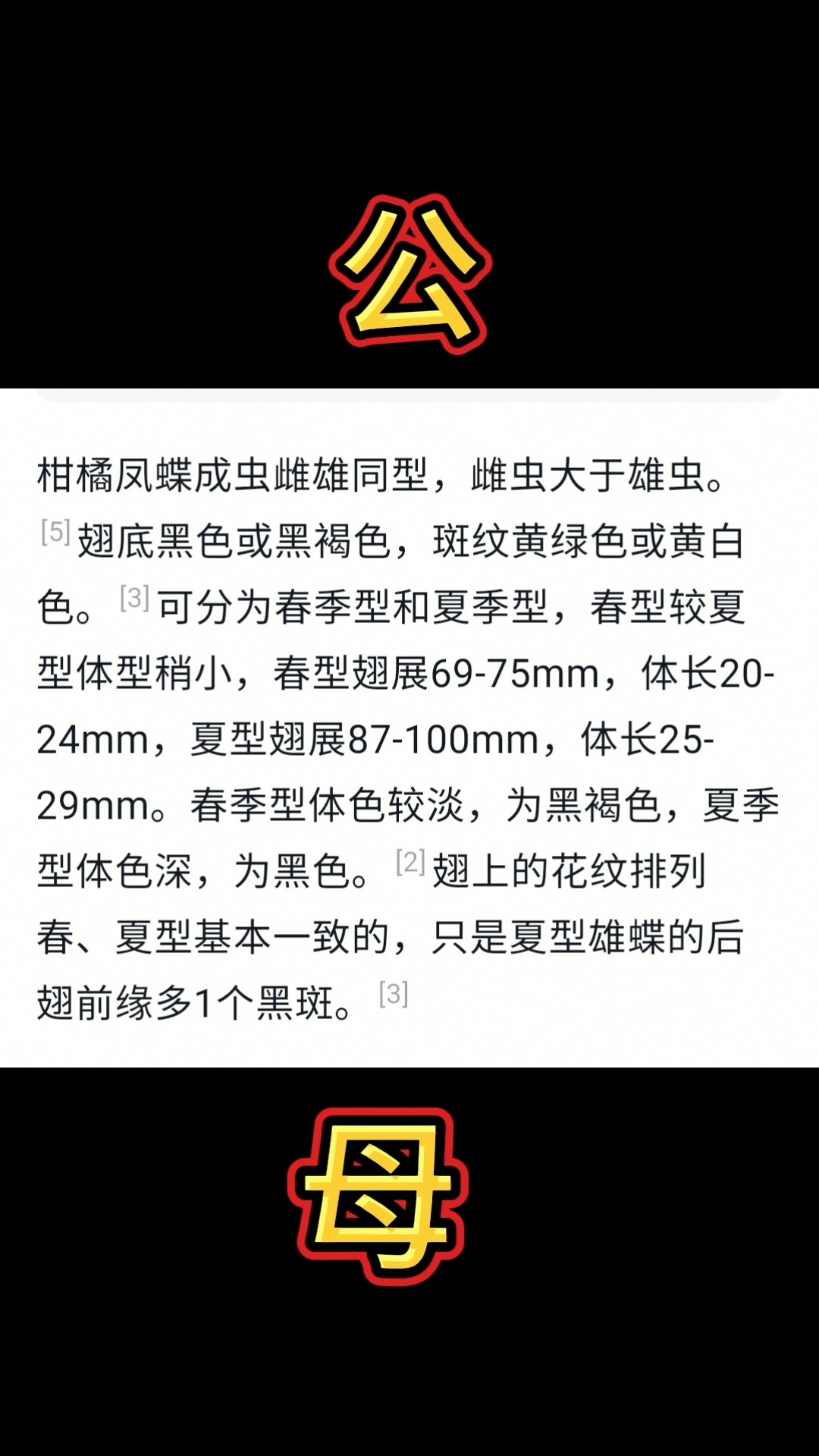 柑橘凤蝶的一生